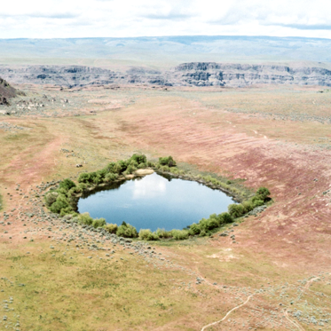 Death By Discovery: How Earth’s Oldest Organisms Were Found, and Killed