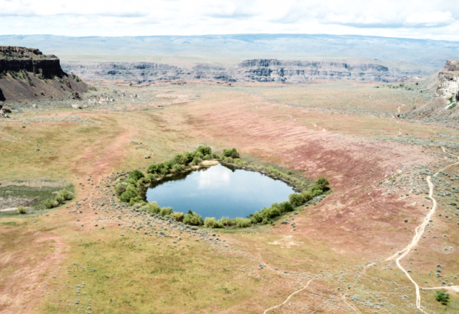 Death By Discovery: How Earth’s Oldest Organisms Were Found, and Killed