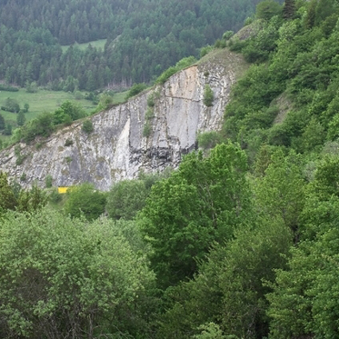 Thirteen Cows Mysteriously Jump Off a Cliff in Switzerland