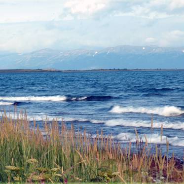 New Sightings of Lake Iliamna Monster in Alaska