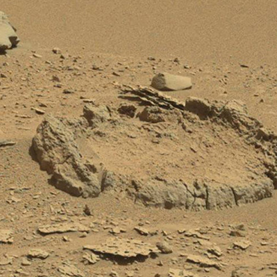 A Tree, a Stone Circle and a Space Vehicle Spotted on Mars