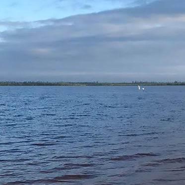 Nessie Appears in Two Different Places at the Same Time