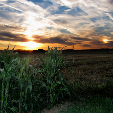 Sky Flashes, or “Blown Highlights”? Videos Claim to Show the Sun “Flickering”