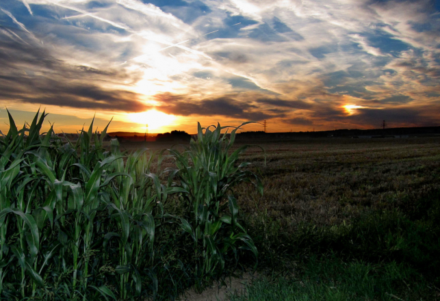 Sky Flashes, or “Blown Highlights”? Videos Claim to Show the Sun “Flickering”