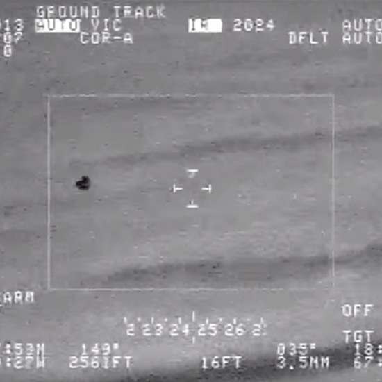 UFOs in Videos from Bermuda Triangle May Be Organisms