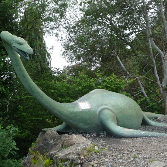 Land Nessie Reported by Dog Walker in Scotland