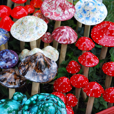 Magic Mushrooms and LSD Linked to Lower Heart Disease and Diabetes Risk