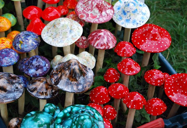 Magic Mushrooms and LSD Linked to Lower Heart Disease and Diabetes Risk