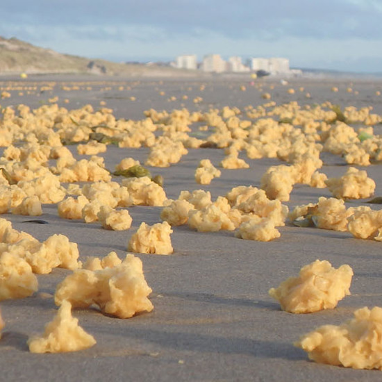 Yellow Sponge Blobs Appear on Beach, Frozen Sausages Fall From Sky