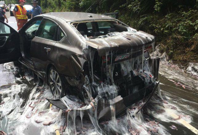 Oregon Highway Covered in Slime in Bizarre Accident