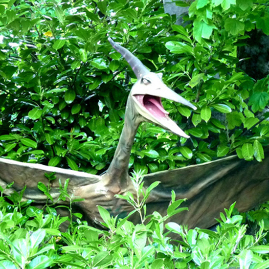 More About Those Mysterious Pterodactyls