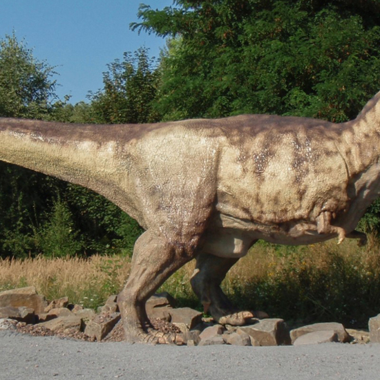 Humans Could Have Outrun T. Rex