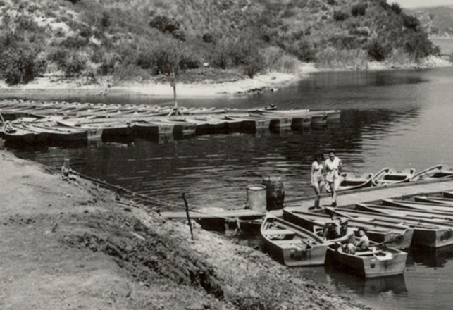 Addressing Nessie In the Forties