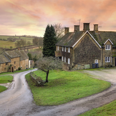 Unexplained Cat Disappearances Baffle English Village