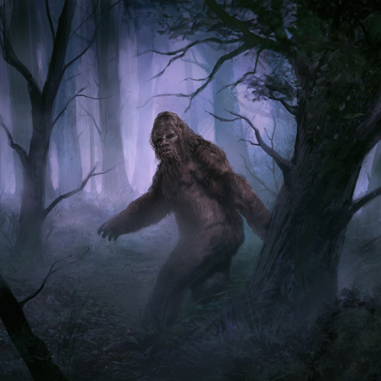 More on the Mysterious Bigfoot: The UFO Connection