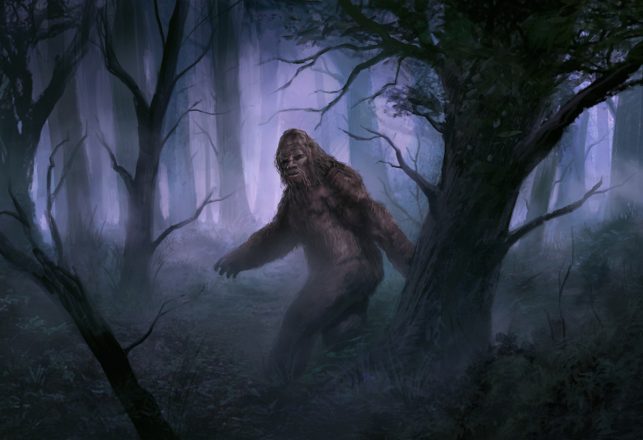 Recent Bigfoot Howls in West Virginia Sound Real to Expert