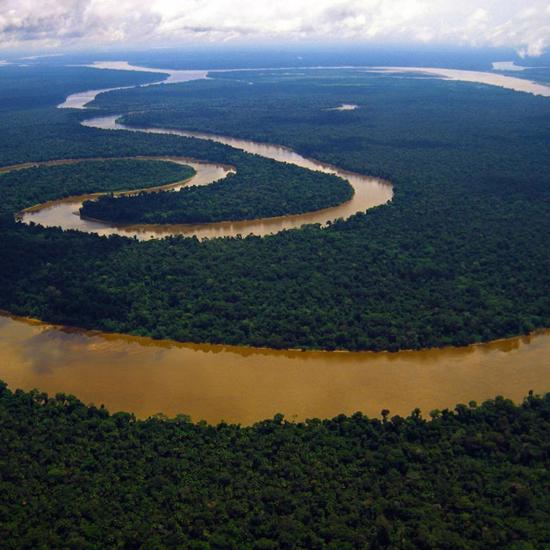 The Strange Story of the Amazonian Telegraph