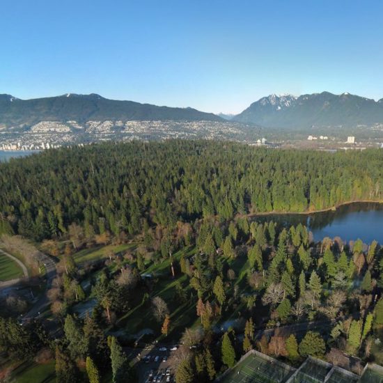 The Blob From The Lost Lagoon Surfaces in Vancouver