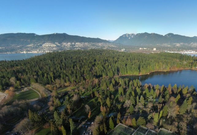 The Blob From The Lost Lagoon Surfaces in Vancouver