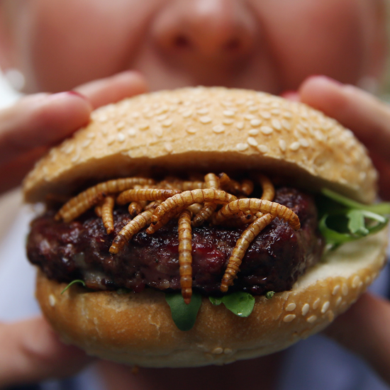 Food of the Future? Insect Burgers Hit European Supermarkets