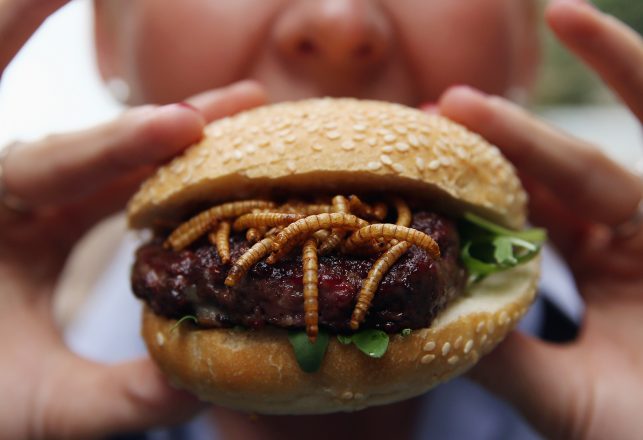 Food of the Future? Insect Burgers Hit European Supermarkets