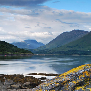 UFO Scientists Claim to Find Loch Ness Monster in Wrong Loch