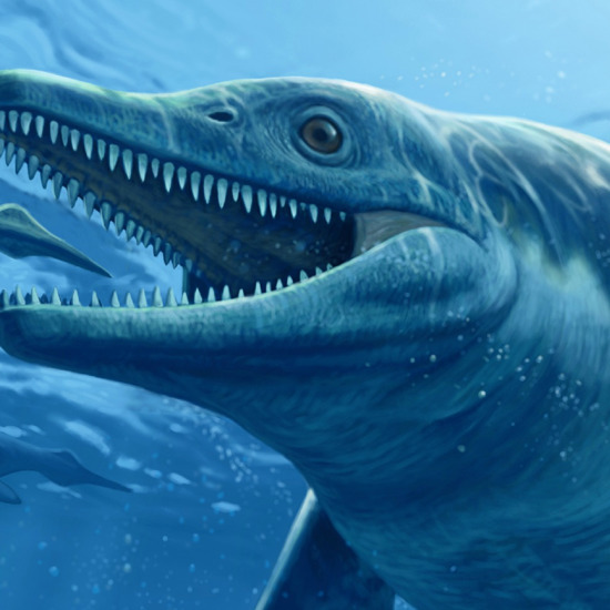 Massive Sea Dragon Fossil Found in Plain Sight