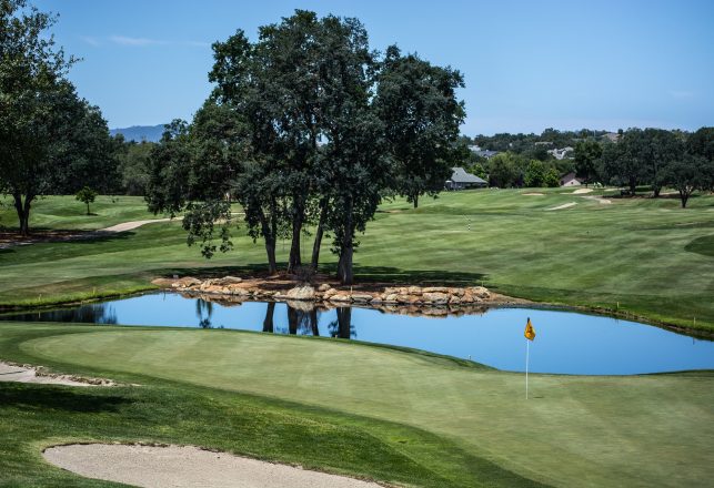 ‘Chupacabra’ Spotted on South Carolina Golf Course