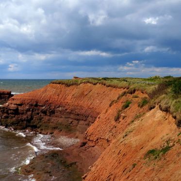 Mysterious Ringed Structure Appears on Canadian Beach