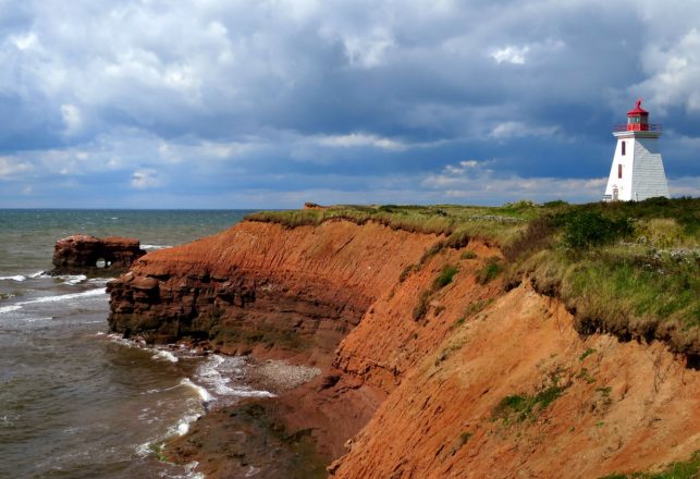 Mysterious Ringed Structure Appears on Canadian Beach