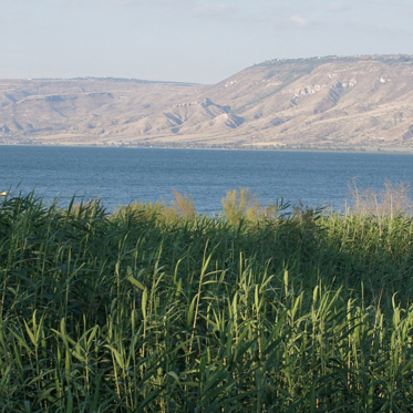 Lost Roman City of Julias Found on Shore of Sea of Galilee