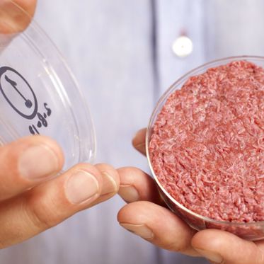 Bill Gates and Richard Branson Invest in Stem Cell Mystery Meat