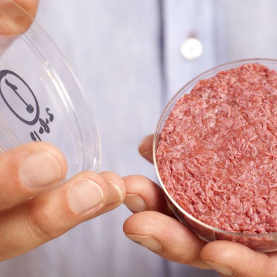 Bill Gates and Richard Branson Invest in Stem Cell Mystery Meat