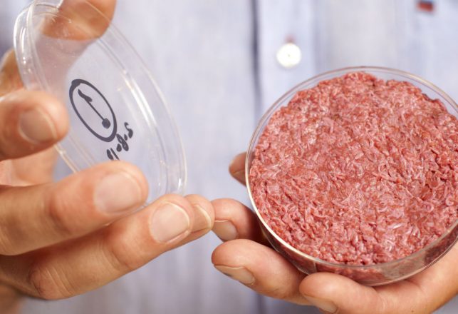 Bill Gates and Richard Branson Invest in Stem Cell Mystery Meat