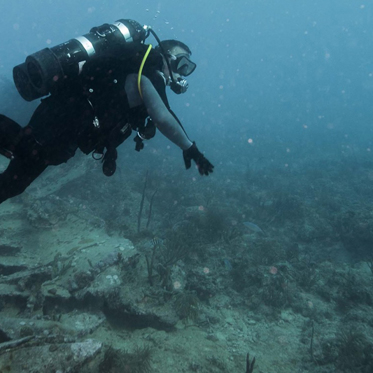 Lost Roman City of Neapolis Discovered in Tunisia