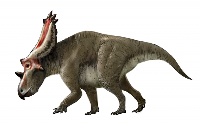 g1864 Utahceratops 1 640x395