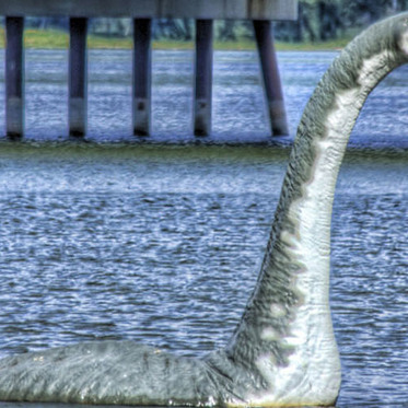 More on Teggie: The Bala Lake Monster(s)