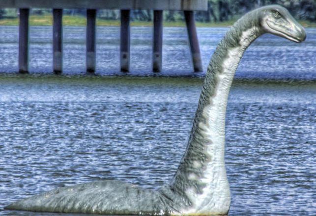 More on Teggie: The Bala Lake Monster(s)