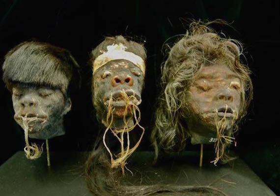 shrunken head other san diego museum