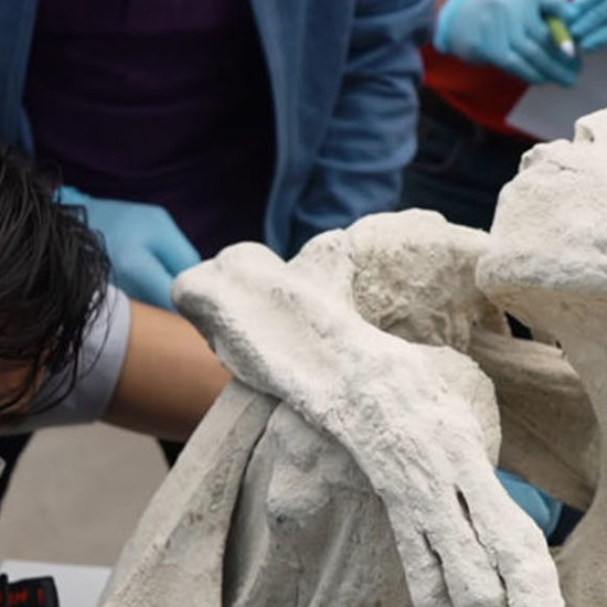Nazca 3-Finger Mummies Update from Recent Peru Conference