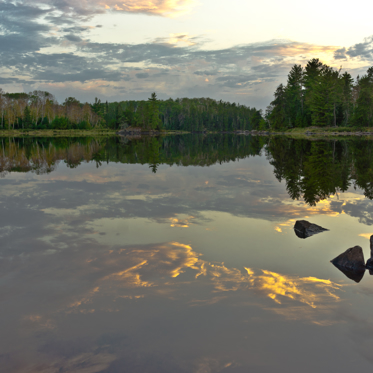 Massive, Mysterious Mud Monster Wreaks Havoc on Minnesota Lake