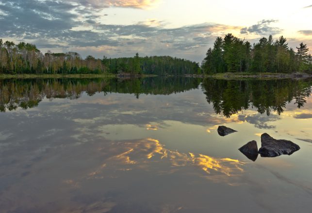 Massive, Mysterious Mud Monster Wreaks Havoc on Minnesota Lake