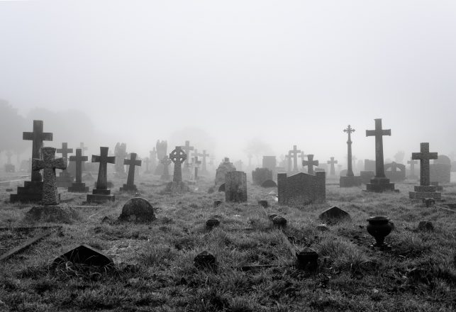 Human Remains Disappear from Desecrated New Orleans Cemetery