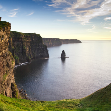 Mysterious Half-Decomposed Gorilla Arm Washes Up in Ireland