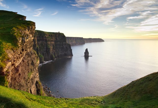 Mysterious Half-Decomposed Gorilla Arm Washes Up in Ireland