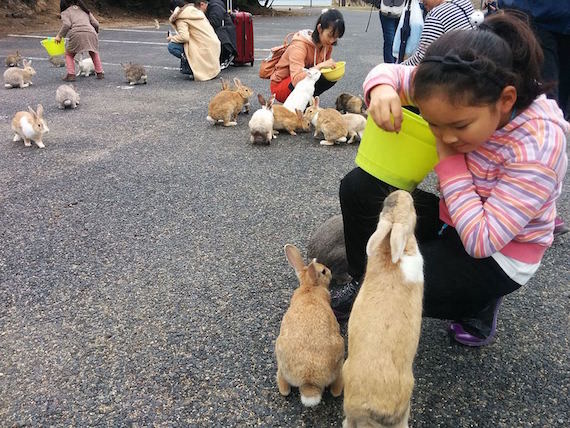 Kids feed bunnies on Okunoshima island