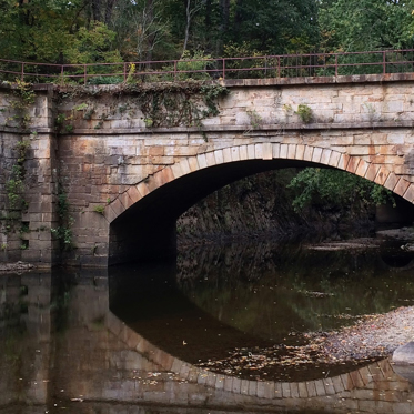 Cryptid Creatures In Our Canals