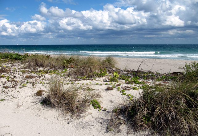 Mysterious Cold-War Era Soviet Buoy Washes Up in Florida