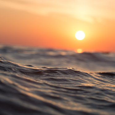 Strange Debris Washes Up in North Carolina After Mystery Boom