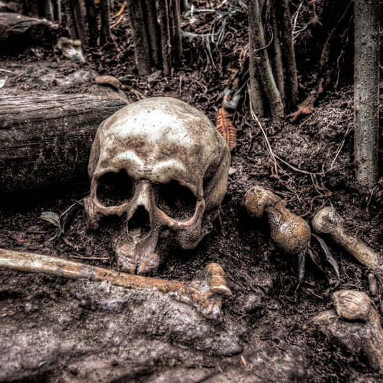 Iron Age Vampire Graves Discovered in England